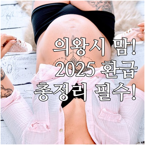 의왕시 산모건강도우미 본인부담금 환급..