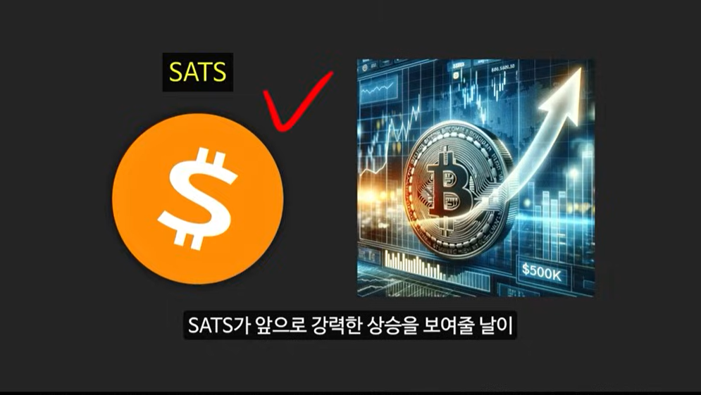 BRC-20 토큰과 비트코인 기반 코인: 사토시 코인의 급등 이유와 주요 토큰 소개 (룬즈, OrangeDX, Dog코인, Pups, ORDI)