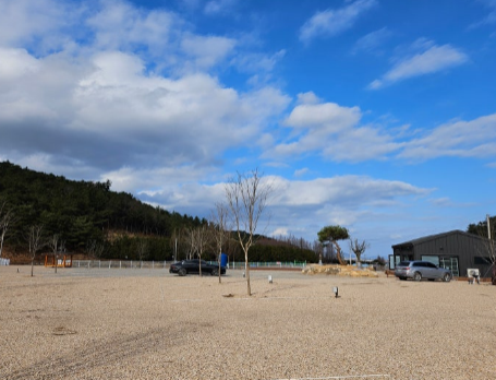 담양 메타세쿼이아 오토캠핑장