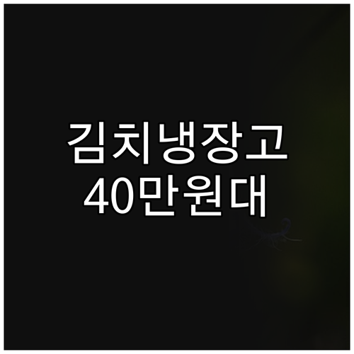 LG 디오스 김치냉장고 128L 찐후