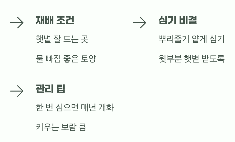정원에 무지개를 들이는 법
