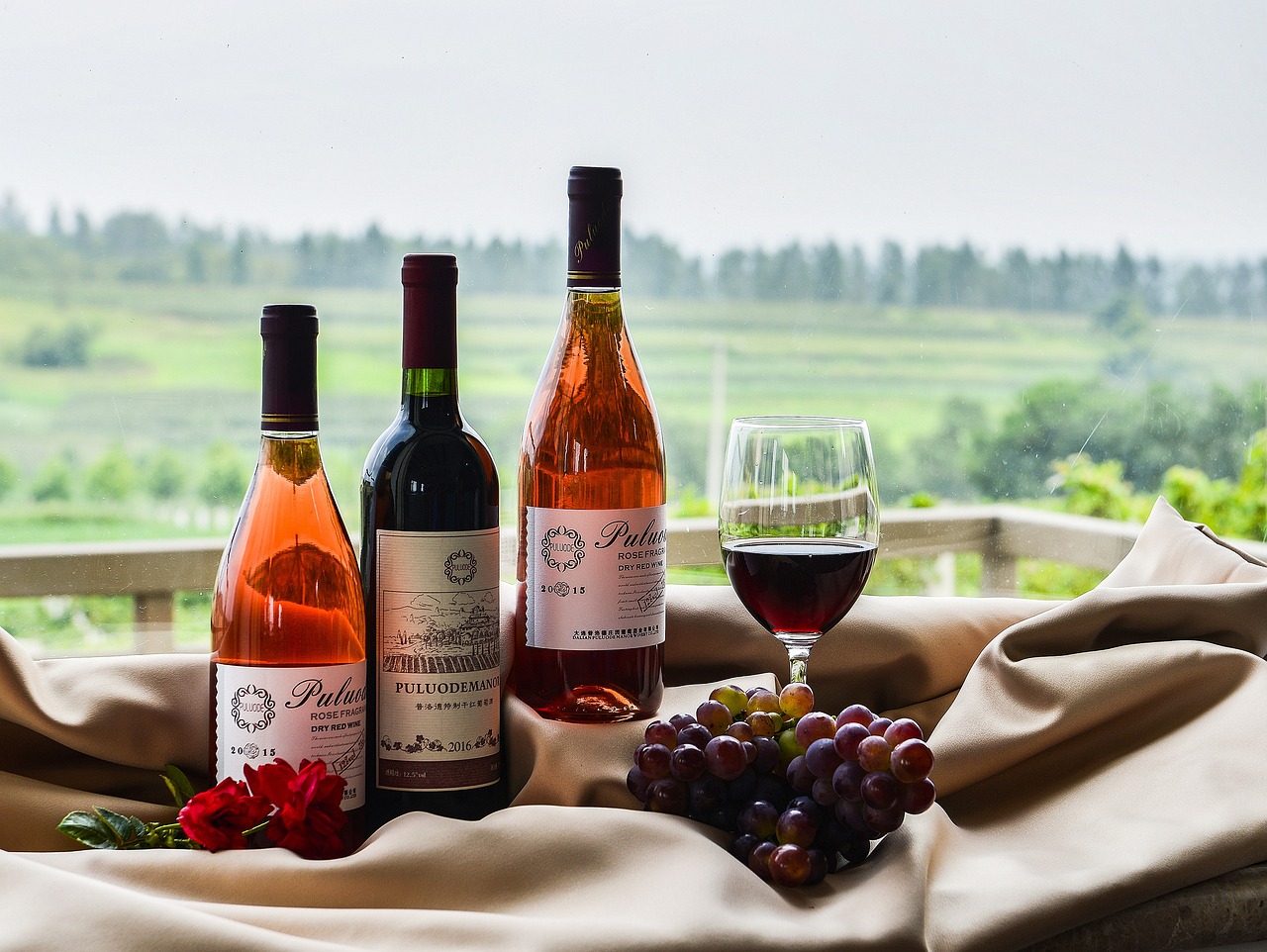 케이프노 manor 와인