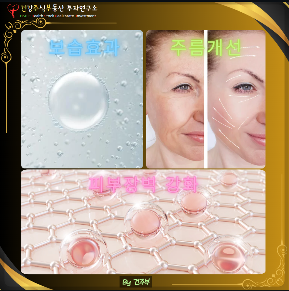 효능 : 보습효과, 주름개선, 피부장벽 강화
(글 그림 : 건주부, 그림 출처 : Canva)