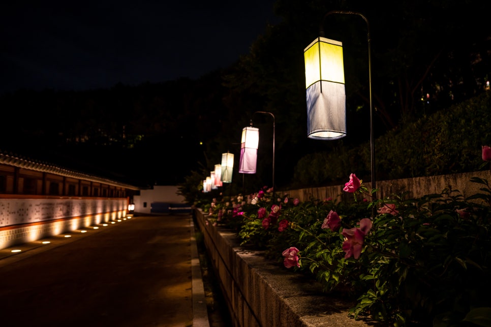 수원행궁 야간개장 일정부터 꿀팁까지 완벽 정리