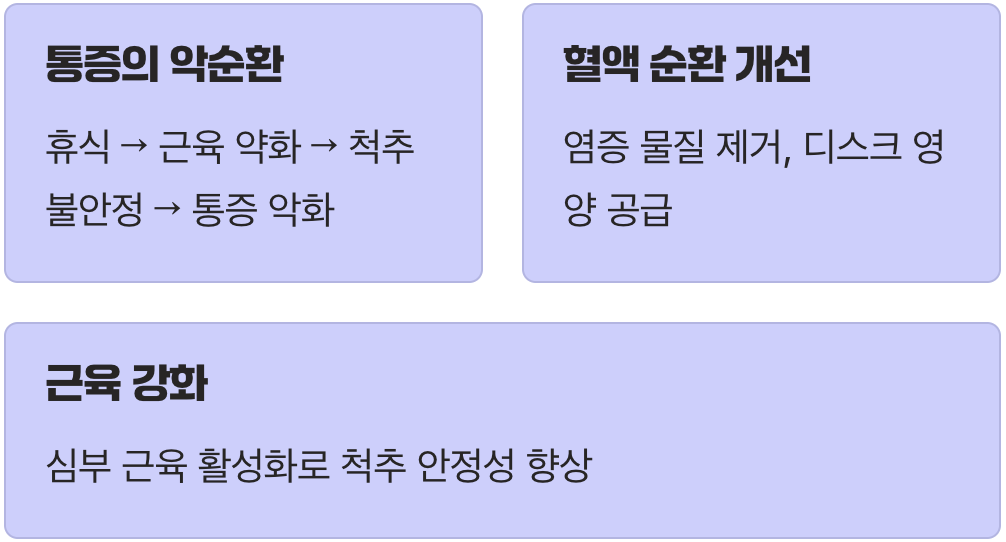 움직임이 최고의 처방전인 이유