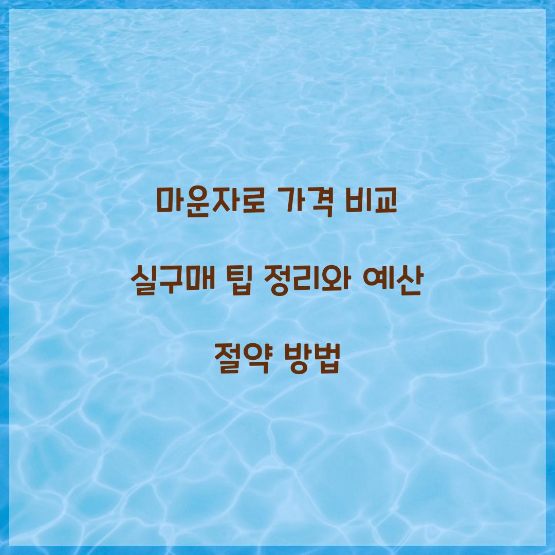 마운자로 가격