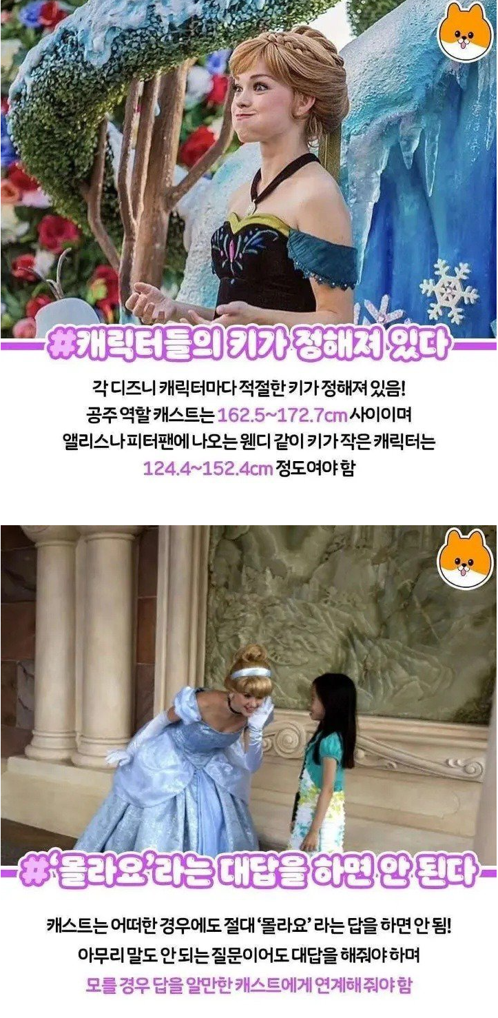디즈니 랜드 직원들의 비밀 01