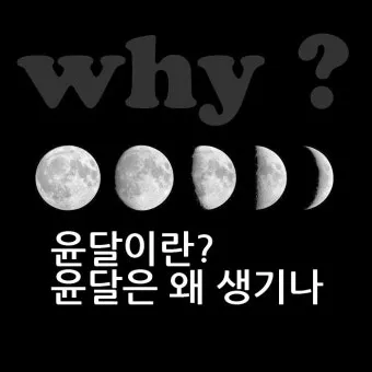 윤달은 몇년마다 오는지 윤년과 차이점 완전 정리_19