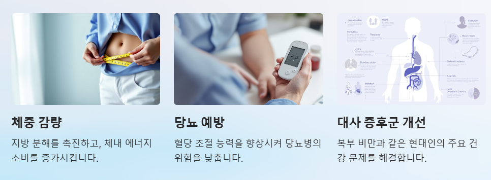 대사건강 개선 및 체중조절