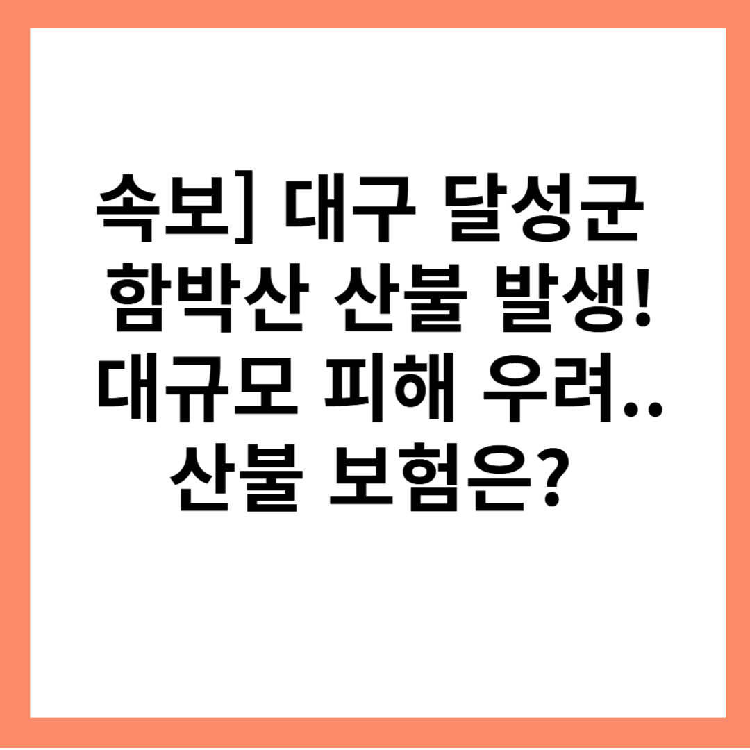 산불-보험-대구-달성군