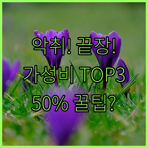 당신의 냉장고 악취 고민 50% 할인..