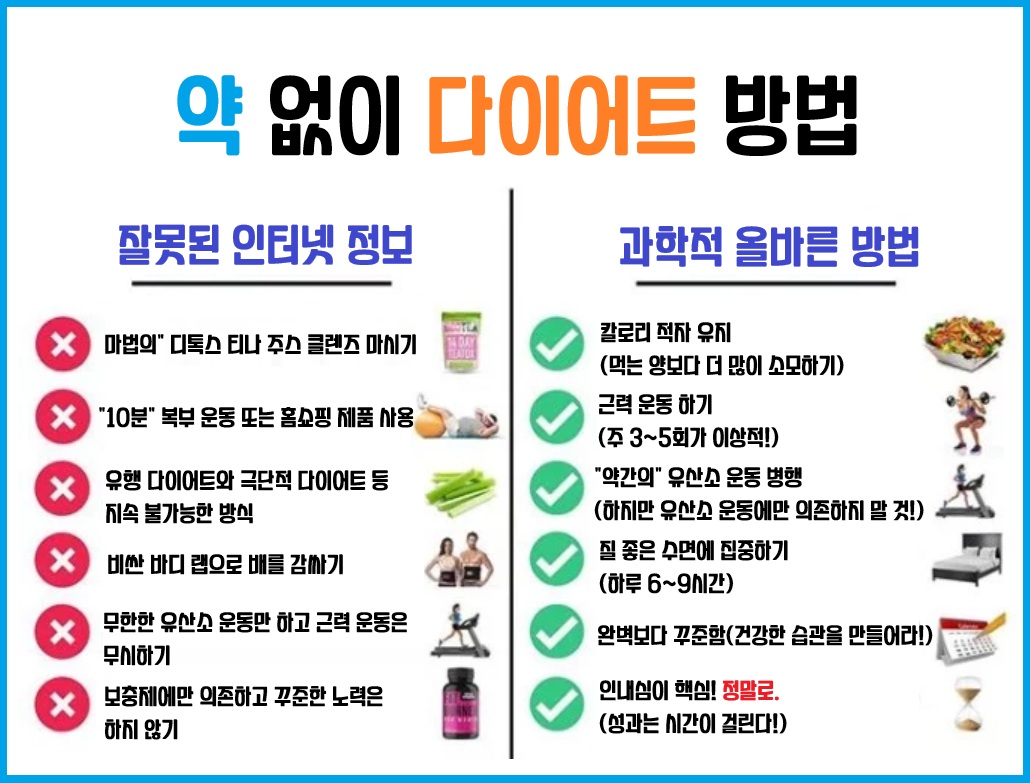약 없이 다이어트
