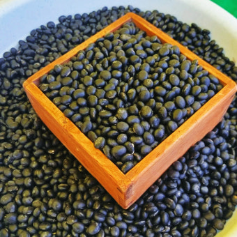 수확 타이밍과 보관법