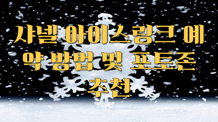 샤넬 아이스링크 예약 방법