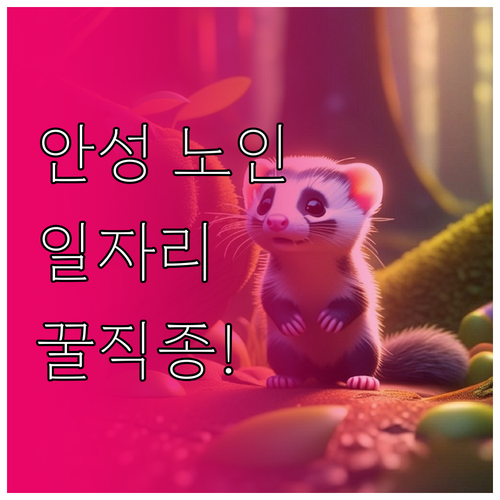 안성시 시니어클럽 노인 일자리 유형 ..