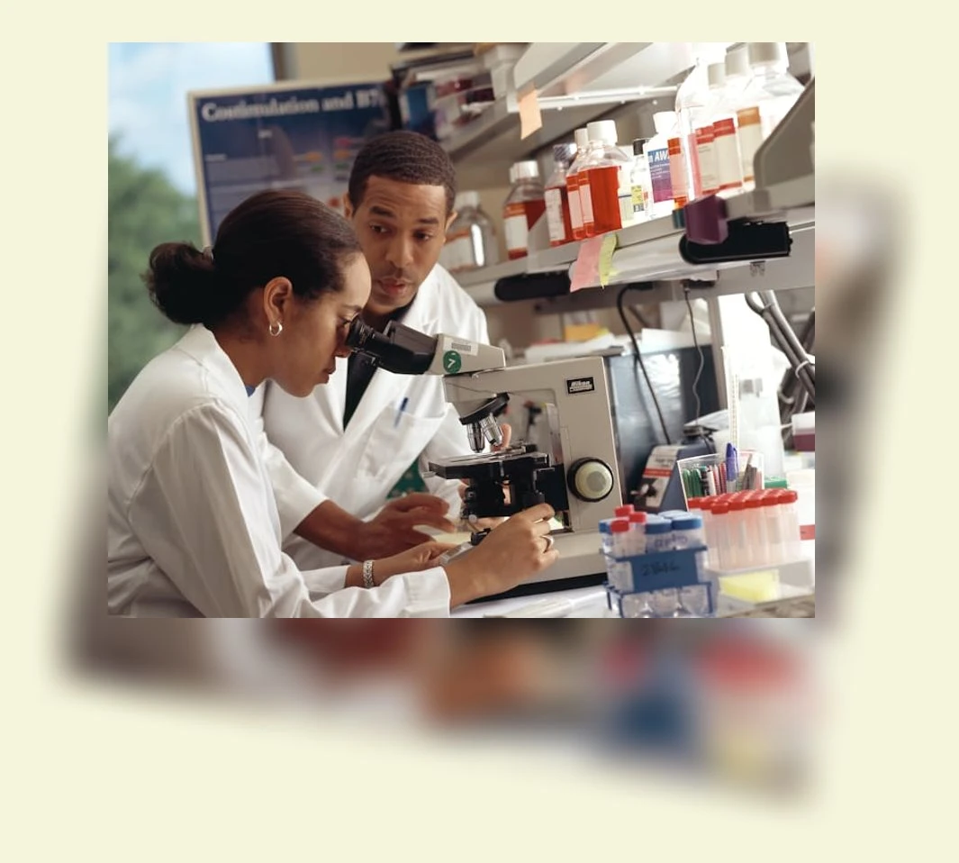 유방암 조기 진단_1_subsection