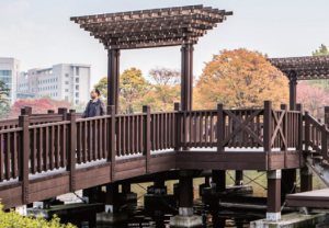 고양국제꽃박람회