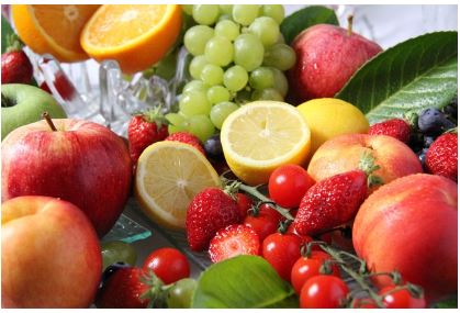 여러종류의 과일사진