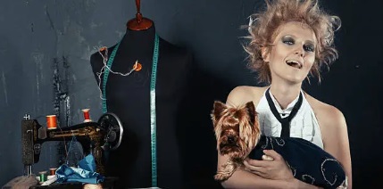 반려동물 패션디자이너 관련 사진