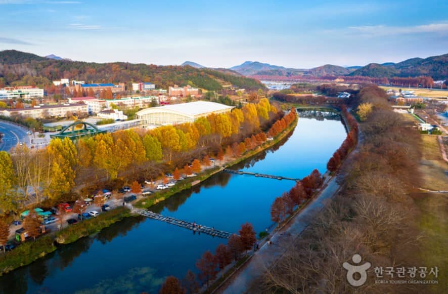 관방제림의-가을전경