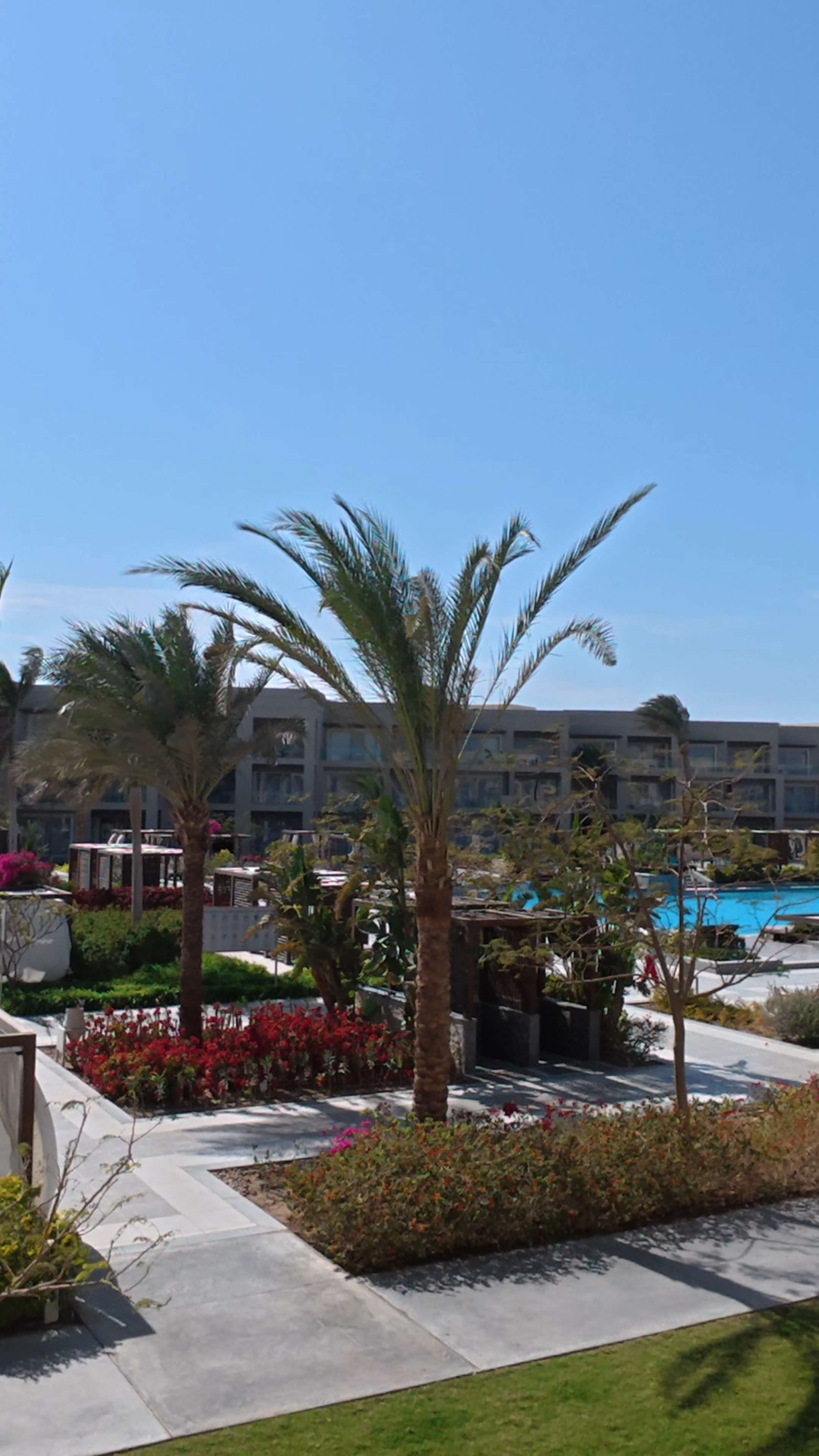 슈타이겐베르거 리조트 라스 소마(Steigenberger Resort Ras Soma)