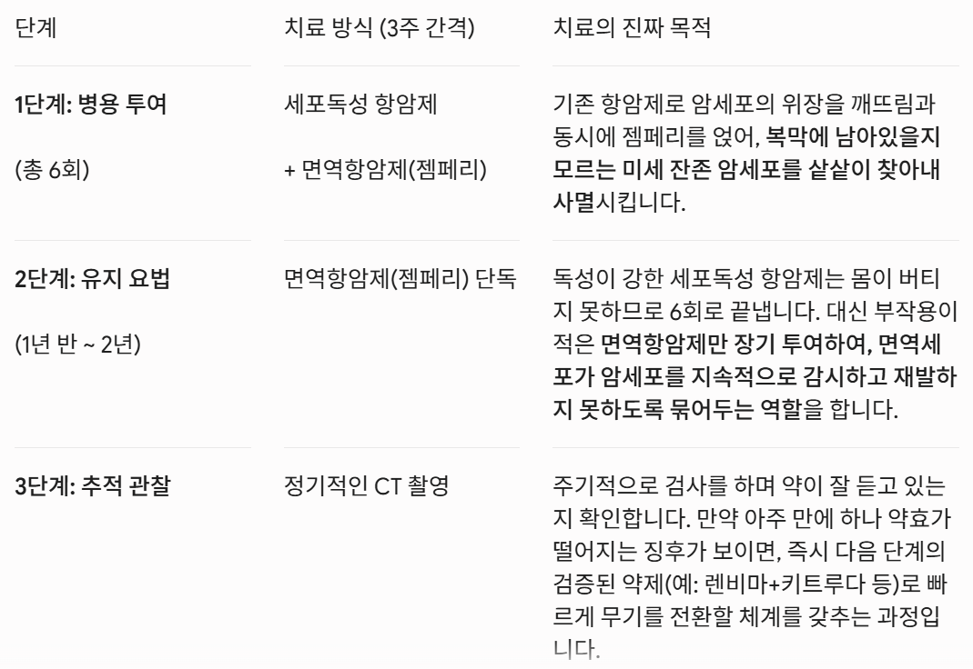 자궁내막암 표준치료