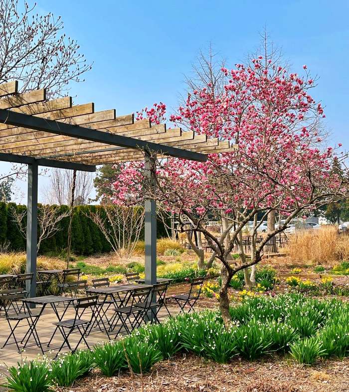 생방송 오늘 저녁 제주 쇠소깍 차콩 크림 라떼 맛집