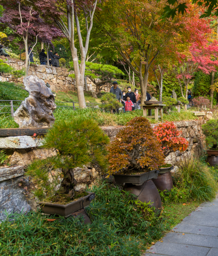 화담숲 모노레일 예약방법, 입장료