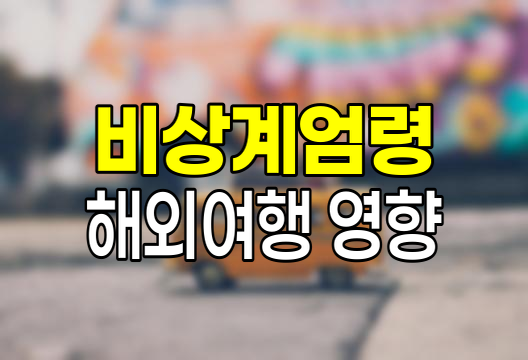 비상계엄령 시 해외여행 제한과 영향