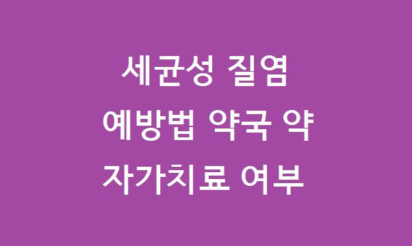 세균성 질염 약