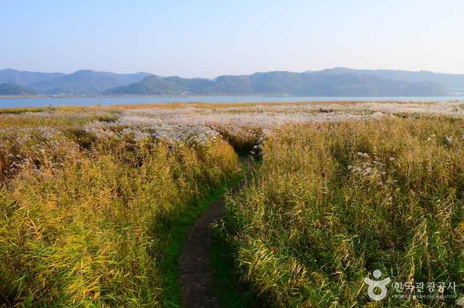 장항항 수산물 꼴갑축제