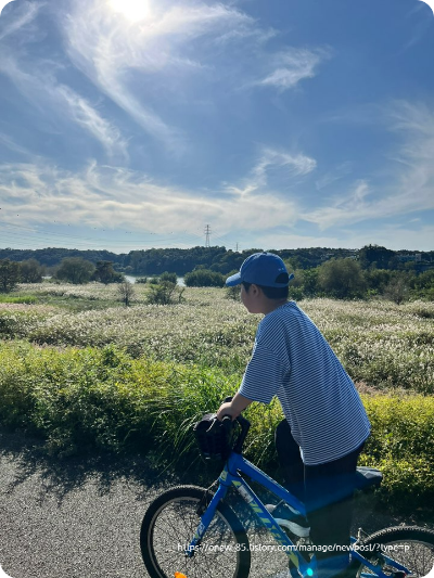 가천섬 가을여행