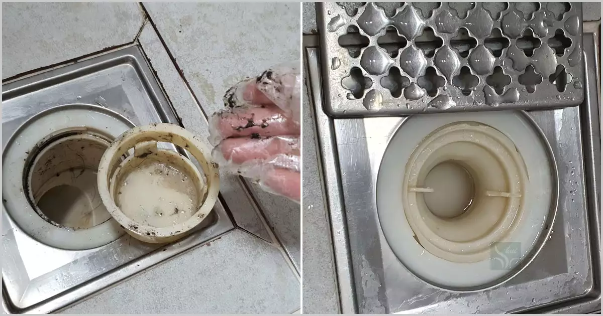 배수구 트랩 분리 후 청소