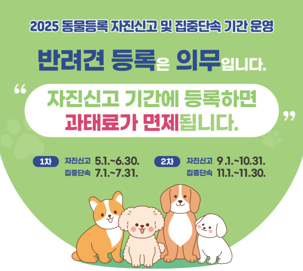 2025 반려동물 등록 방법 총정리: 처음부터 끝까지 완벽 가이드