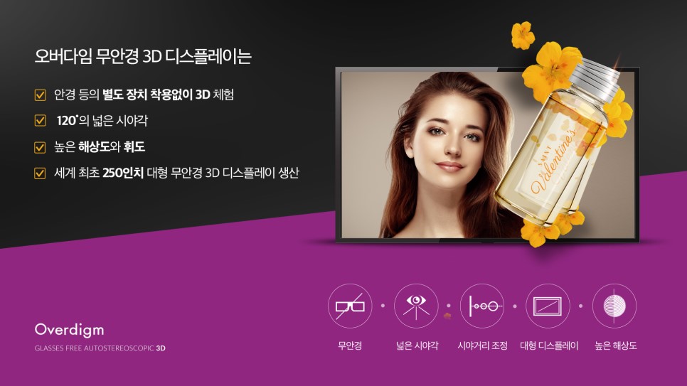 디스플레이 전문업체