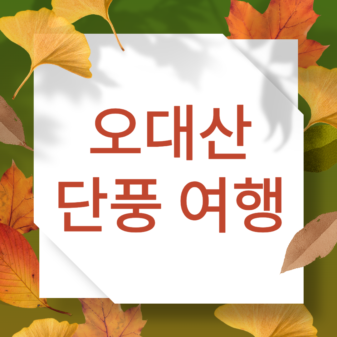 오대산 가을 단풍여행