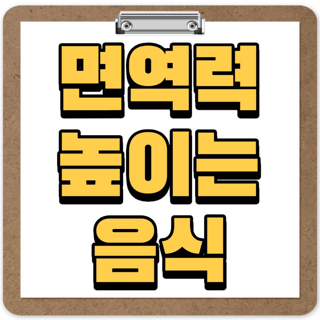 면역력 높이는 음식