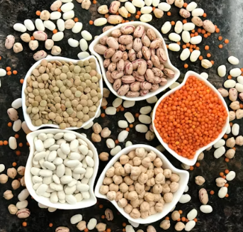 알부민 많은 음식