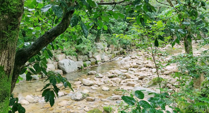 계곡옆 사이트에서 내려다본 송계계곡모습