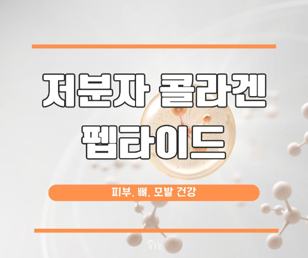 저분자 콜라겐 펩타이드