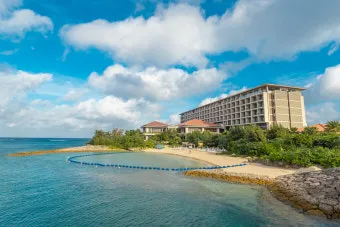 오키나와 국제거리 돈키호테에서 구매 가능한 술 종류 소개_17