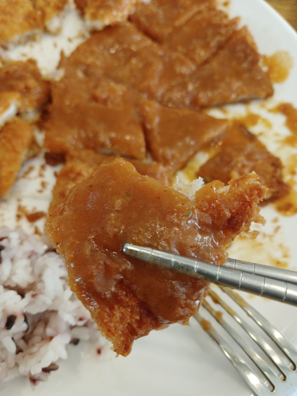 금화 돈까스 한조각