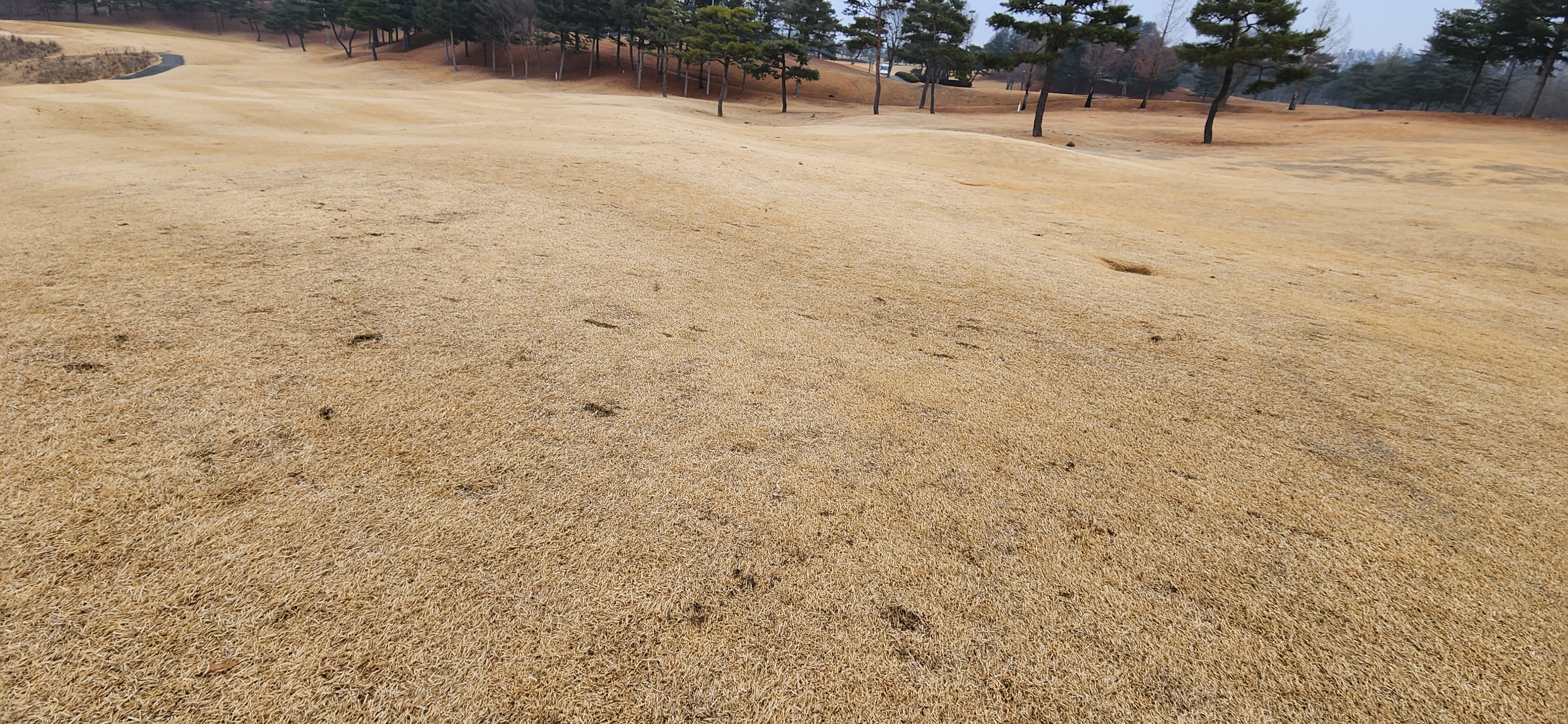 임페리얼레이크cc