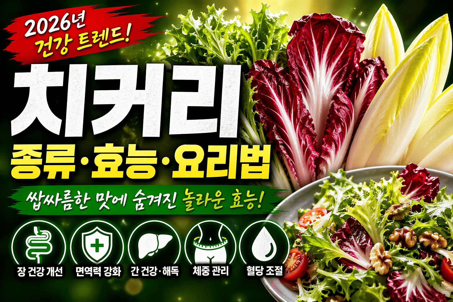 한국 치커리 활용법 (종류, 효능, 요리법)