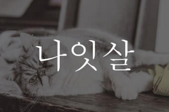 나잇살