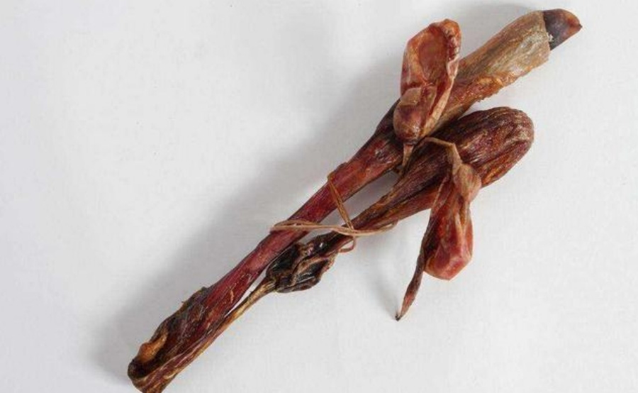 야생에서 채취를 한 온눌제, 즉 해구신을 깨끗하게 세척하고 바싹 말린 것을 하얀 바닥 위에 놓아두고 찍은 사진