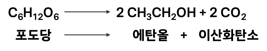 포도당, 에탄올 발효, 알코올 발효, 발효, 에탄올, 이산화탄소, 화학반응식