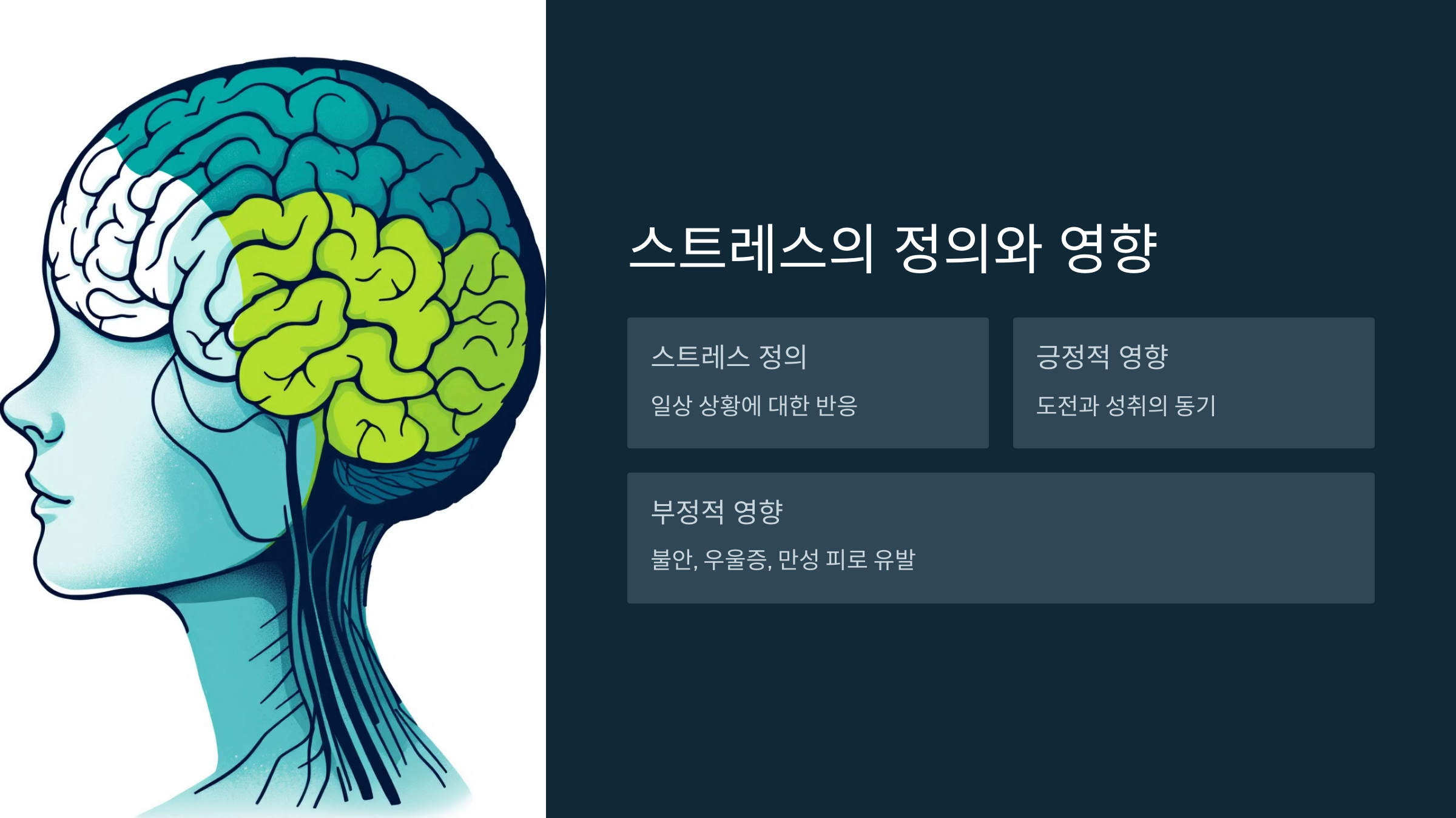 스트레스의 정의와 영향