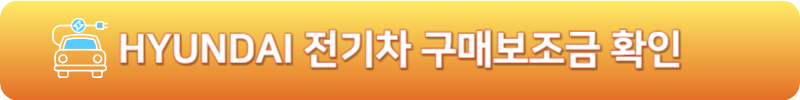 현대자동차 전기차 구매보조금 확인
