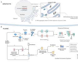 유전성 혈관부종